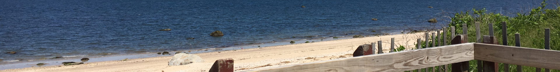 Huntington Area NY 004 1920X650